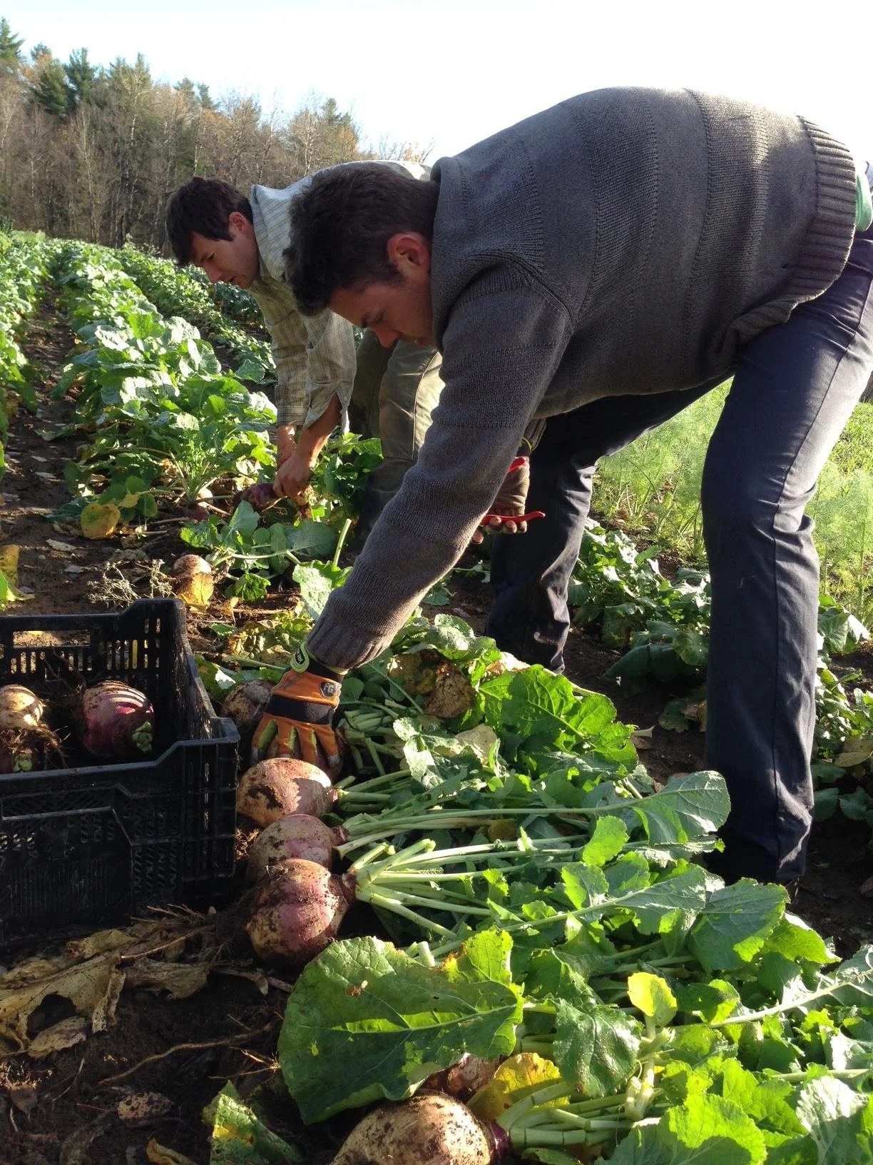 North Branch Farm apprenticeship experience